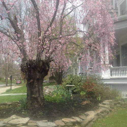 Victorian Charm Inn image 1